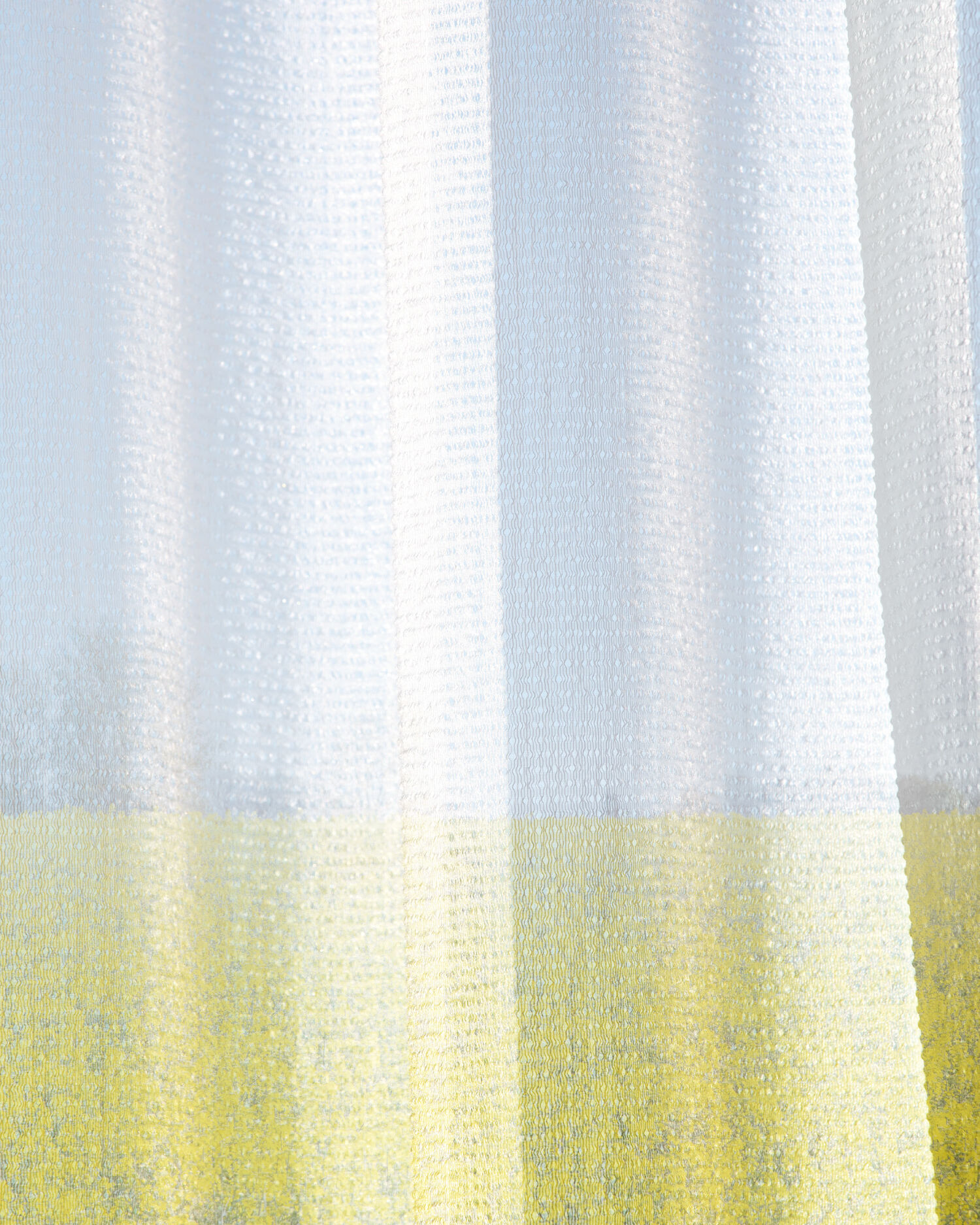 Campaign motif of a bright curtain. In the background a yellow rape field shines through.